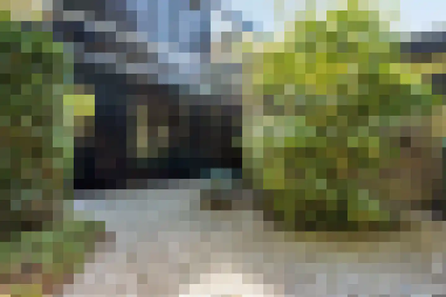 Kattenbosch 78 Rosmalen thumbnail 4