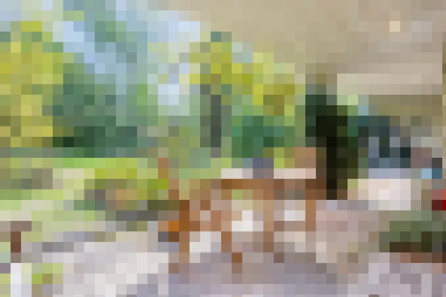 Kattenbosch 78 Rosmalen thumbnail 66