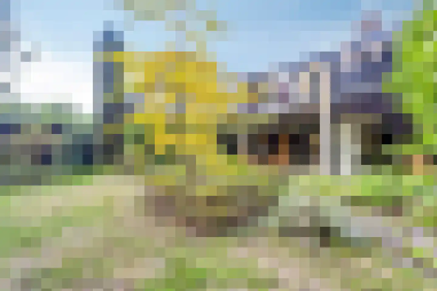 Kattenbosch 78 Rosmalen thumbnail 68