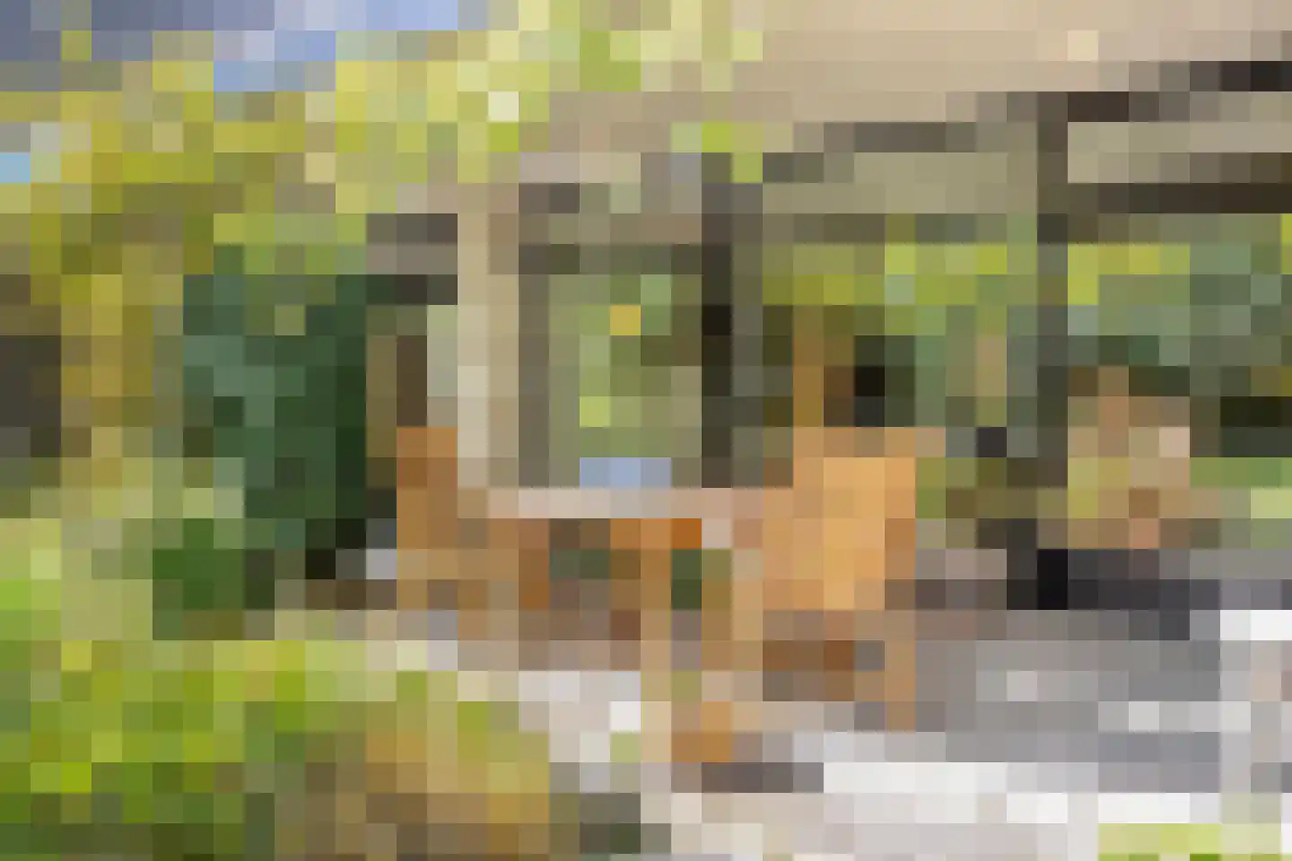 Kattenbosch 78 Rosmalen thumbnail 69