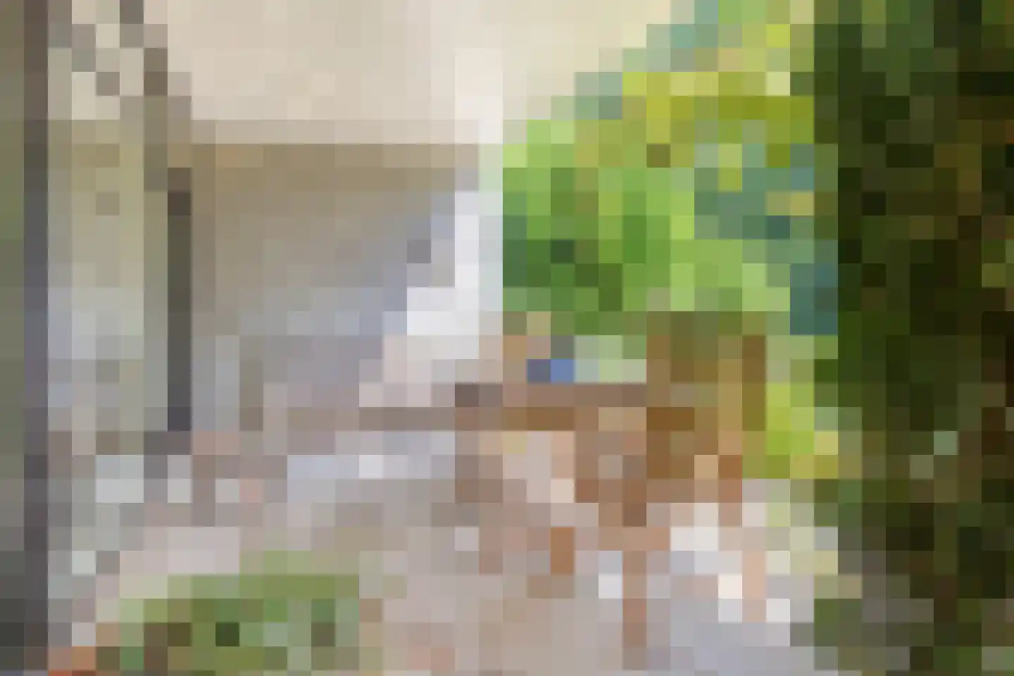 Kattenbosch 78 Rosmalen thumbnail 70