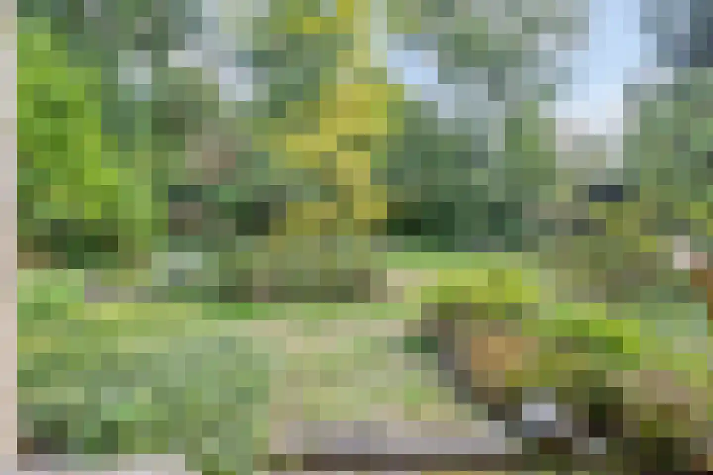 Kattenbosch 78 Rosmalen thumbnail 73