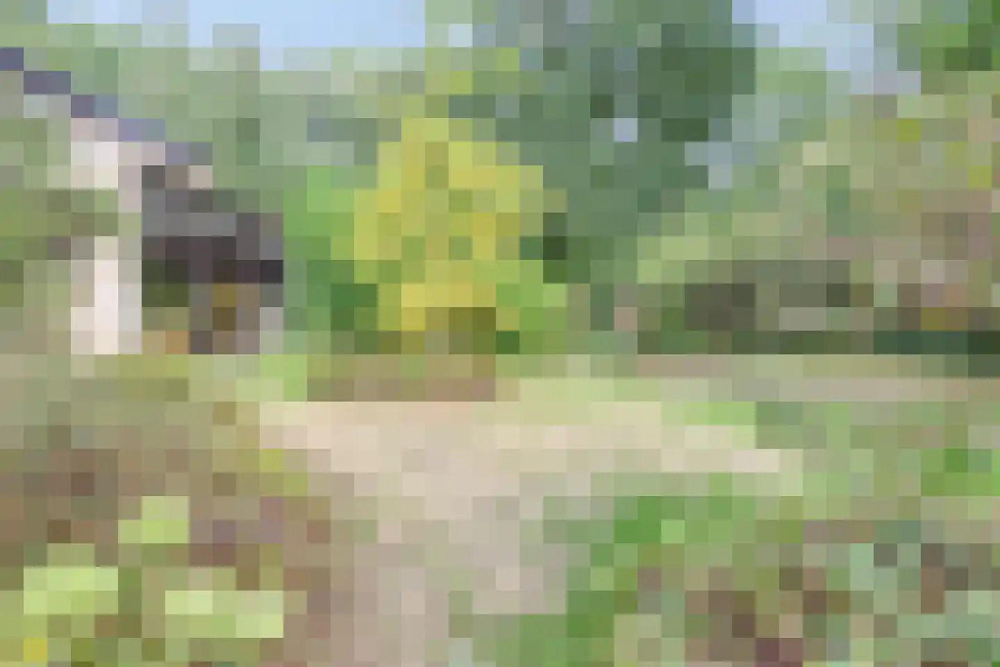 Kattenbosch 78 Rosmalen thumbnail 74