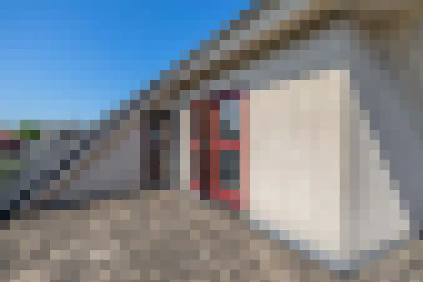 Kattenburcht 1 Gouda thumbnail 28