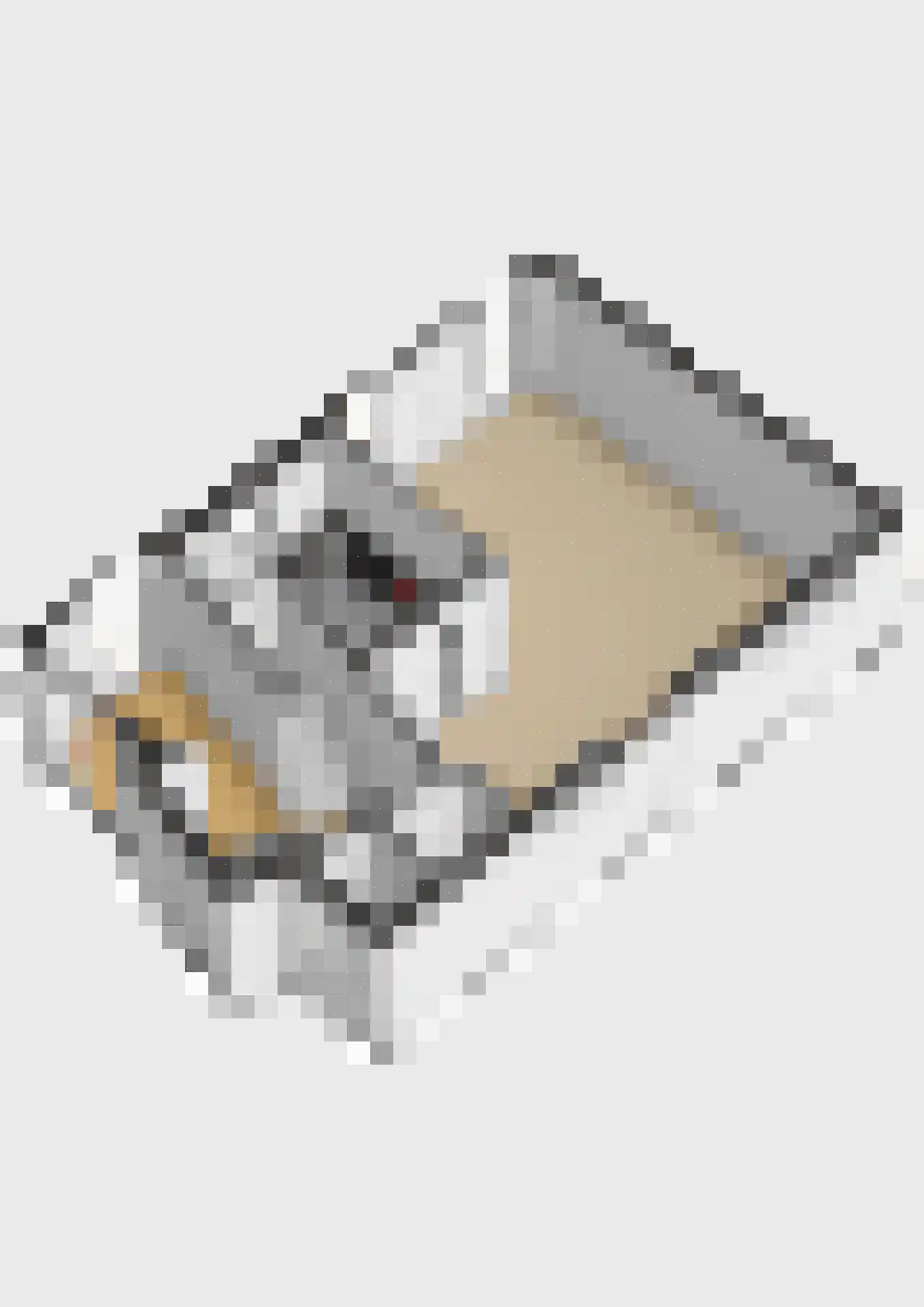 Kattenburcht 1 Gouda thumbnail 31