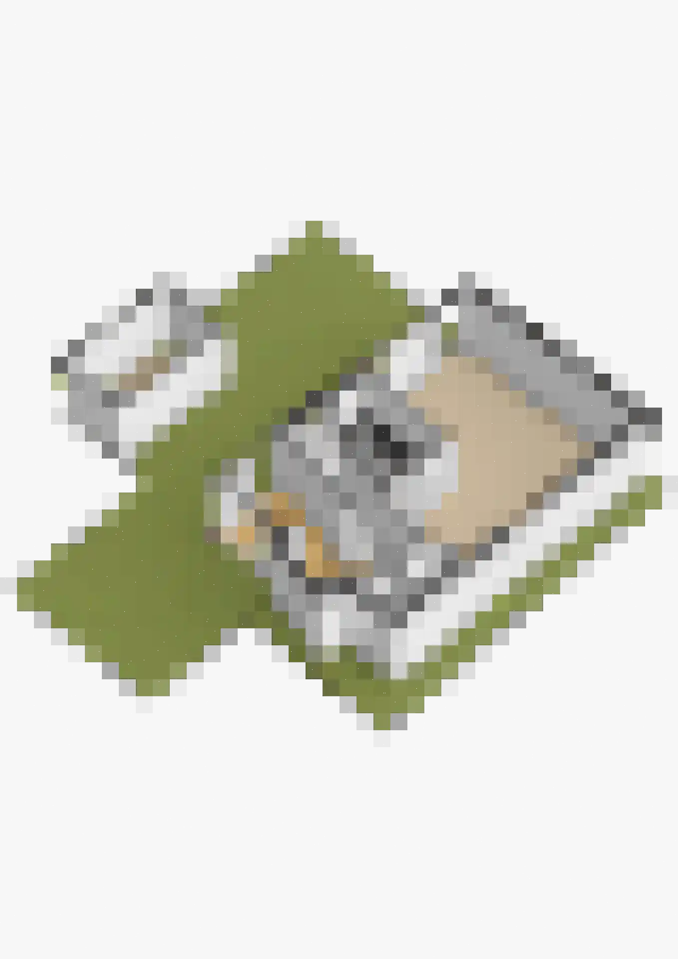 Kattenburcht 1 Gouda thumbnail 37