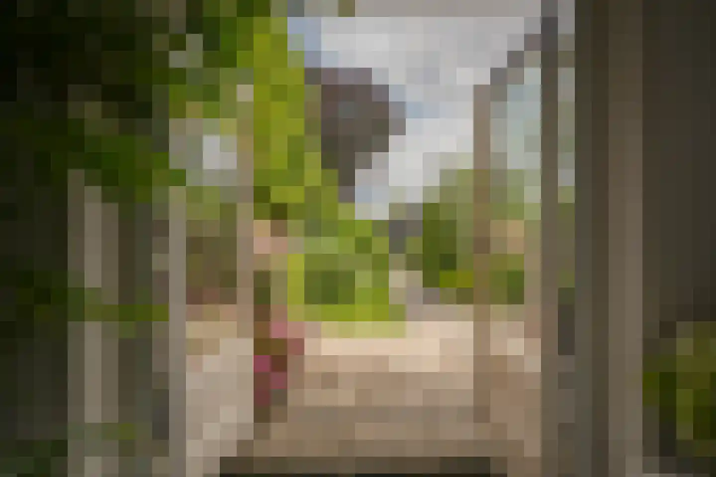 Kattenburg 13 Druten thumbnail 13
