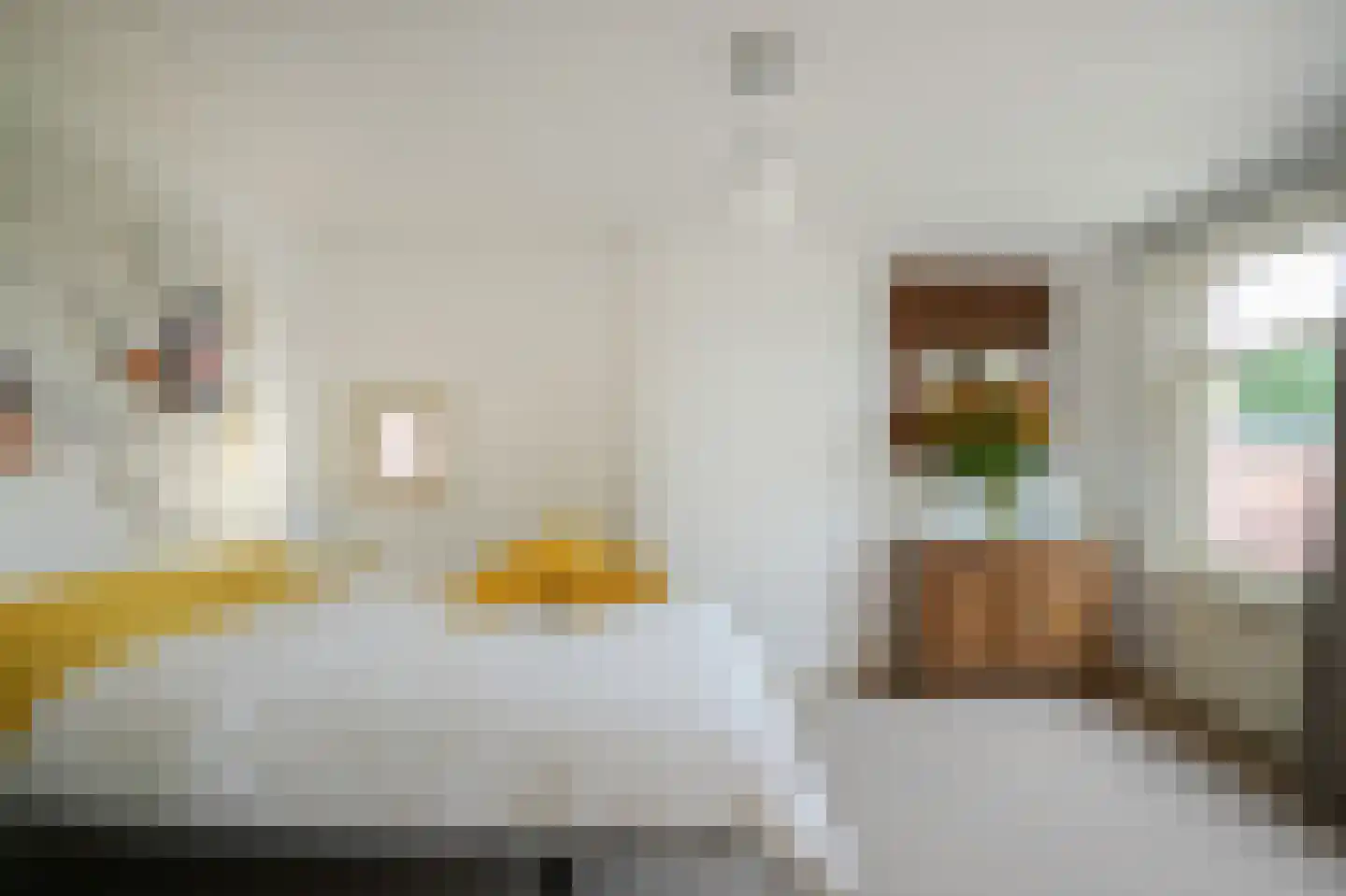 Kattenburg 13 Druten thumbnail 25