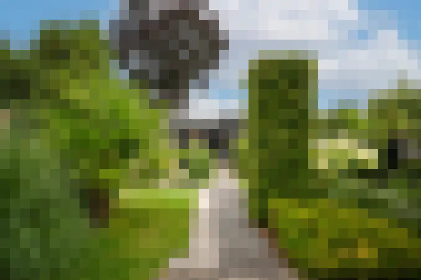 Kattenburg 13 Druten thumbnail 4