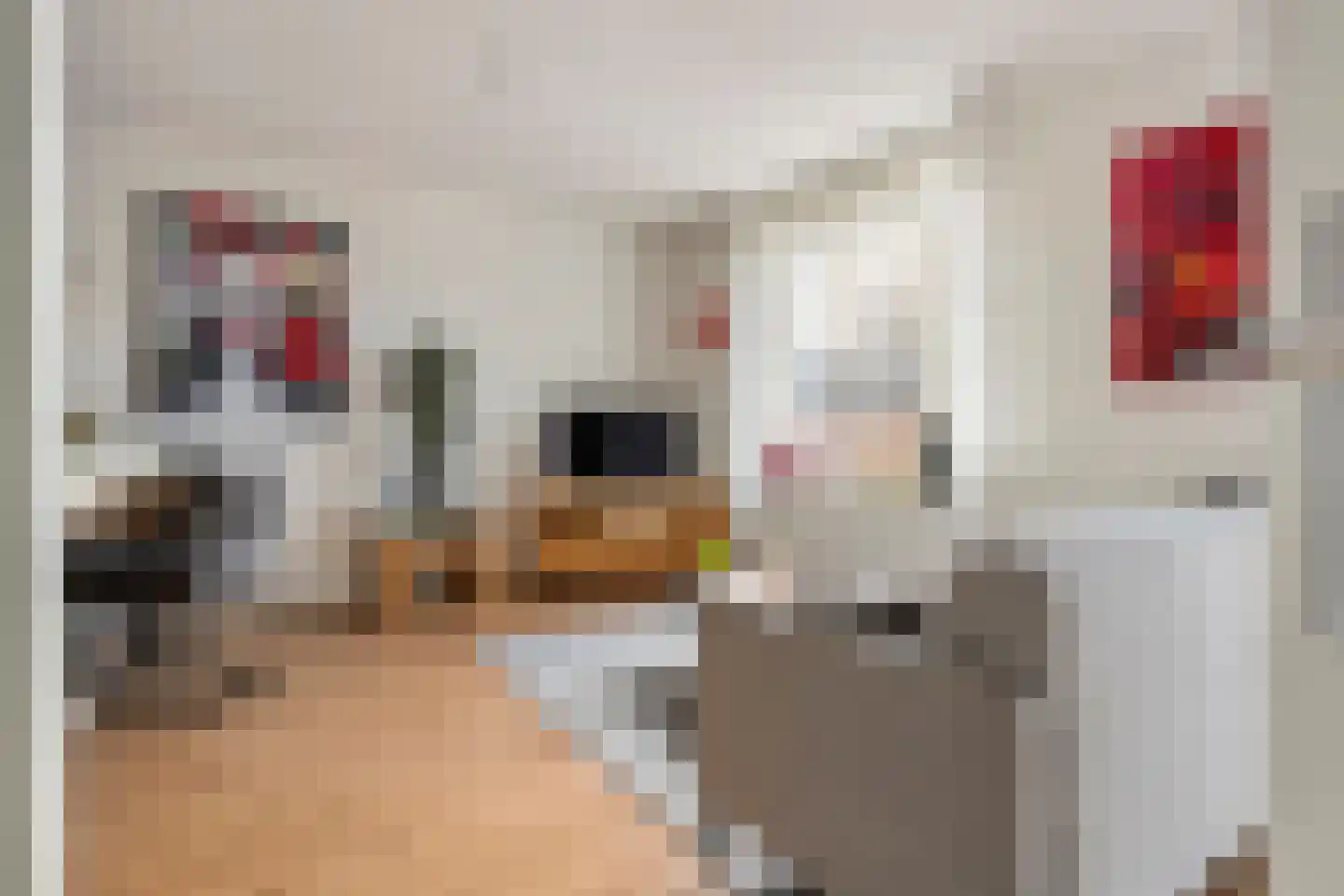 Kattenburg 20 B Druten thumbnail 17