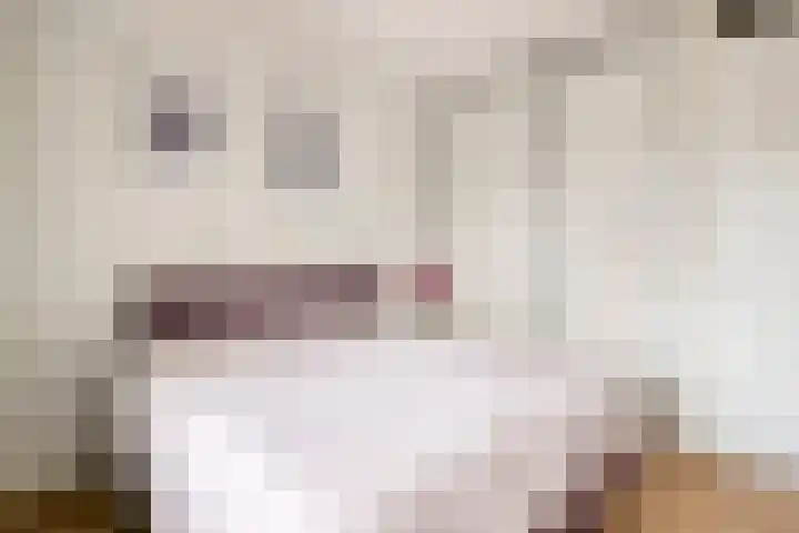 Kattenburg 20 B Druten thumbnail 21