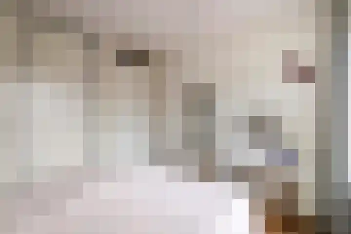 Kattenburg 20 B Druten thumbnail 22
