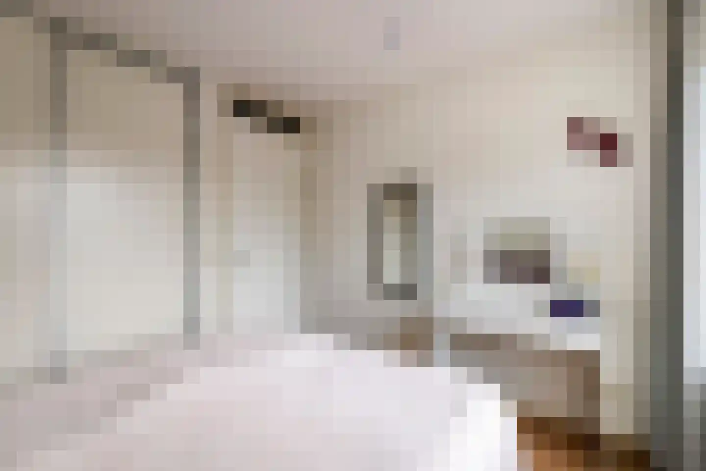 Kattenburg 20 B Druten thumbnail 22
