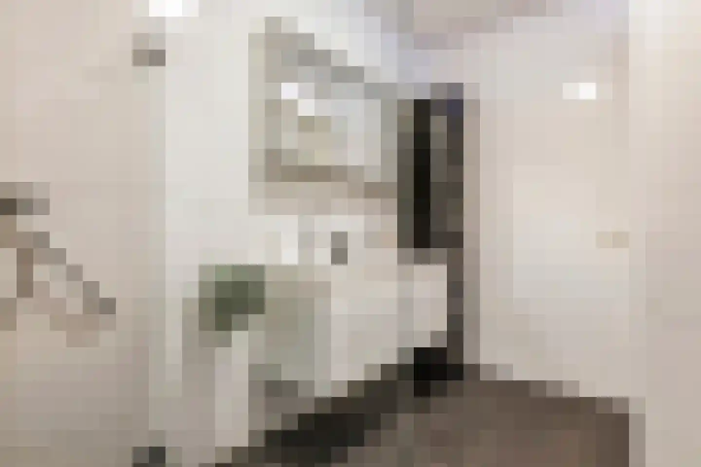 Kattenburg 20 B Druten thumbnail 24