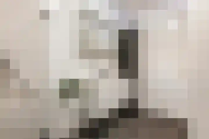 Kattenburg 20 B Druten thumbnail 24