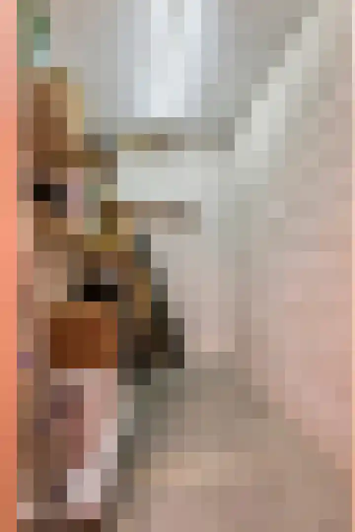 Kattenburg 20 B Druten thumbnail 32