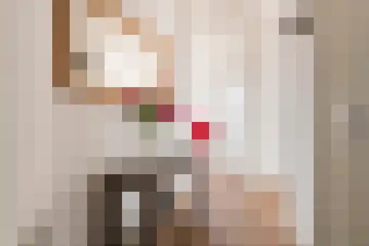 Kattenburg 20 B Druten thumbnail 7