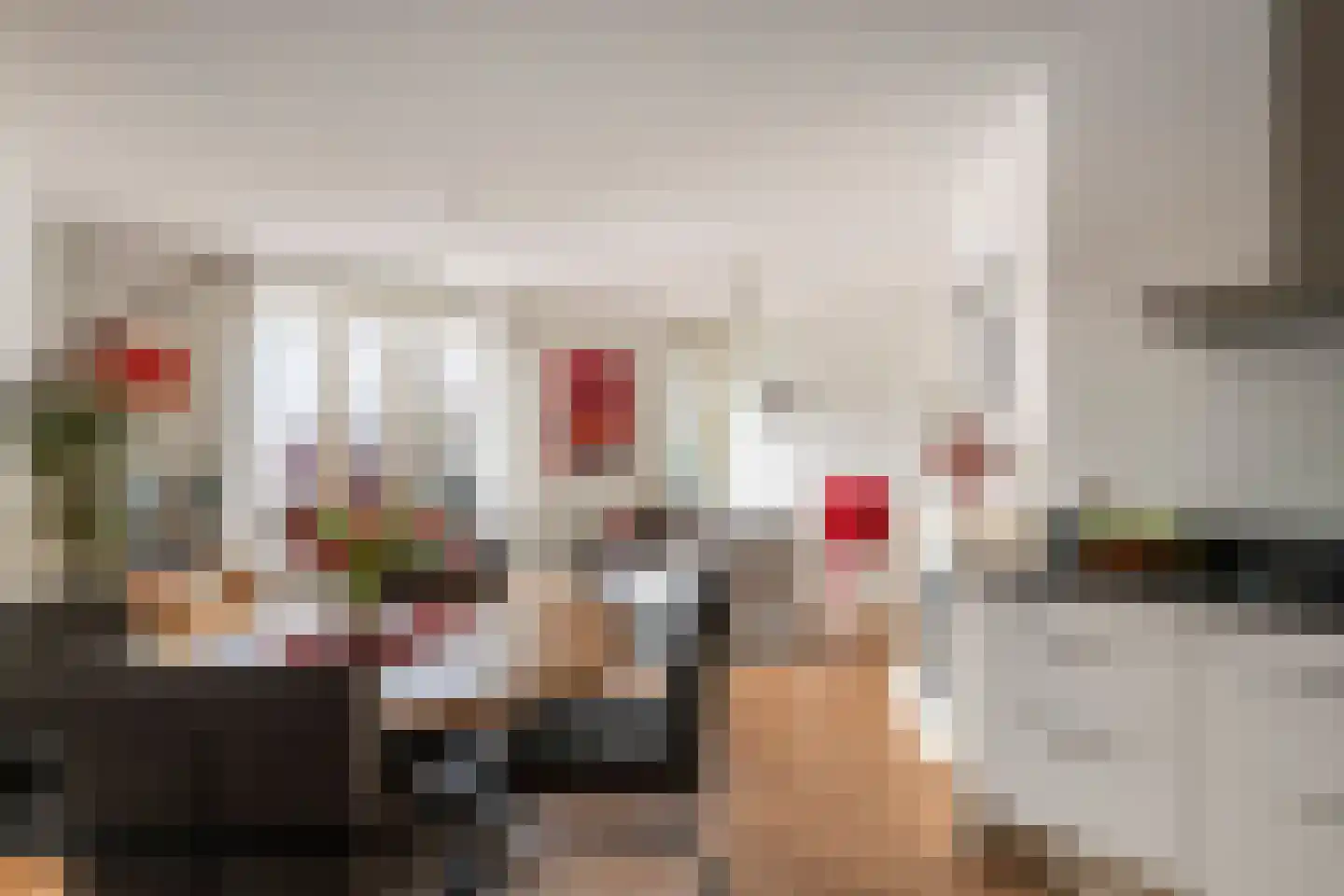 Kattenburg 20 B Druten thumbnail 9