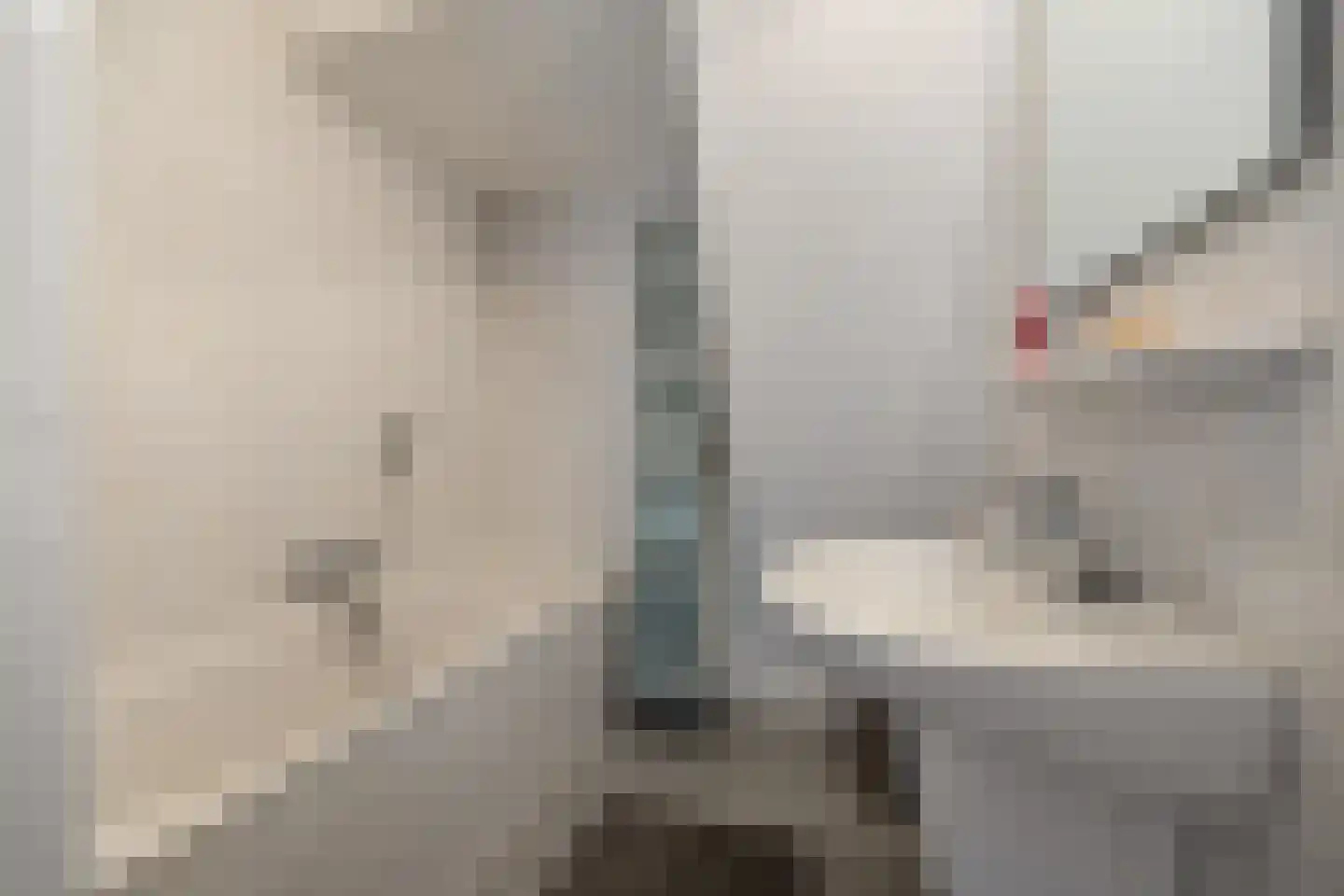 Kattenburg 20 L Druten thumbnail 20