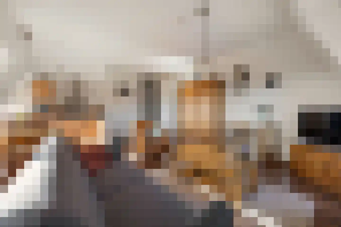 Kattenburg 20 L Druten thumbnail 8