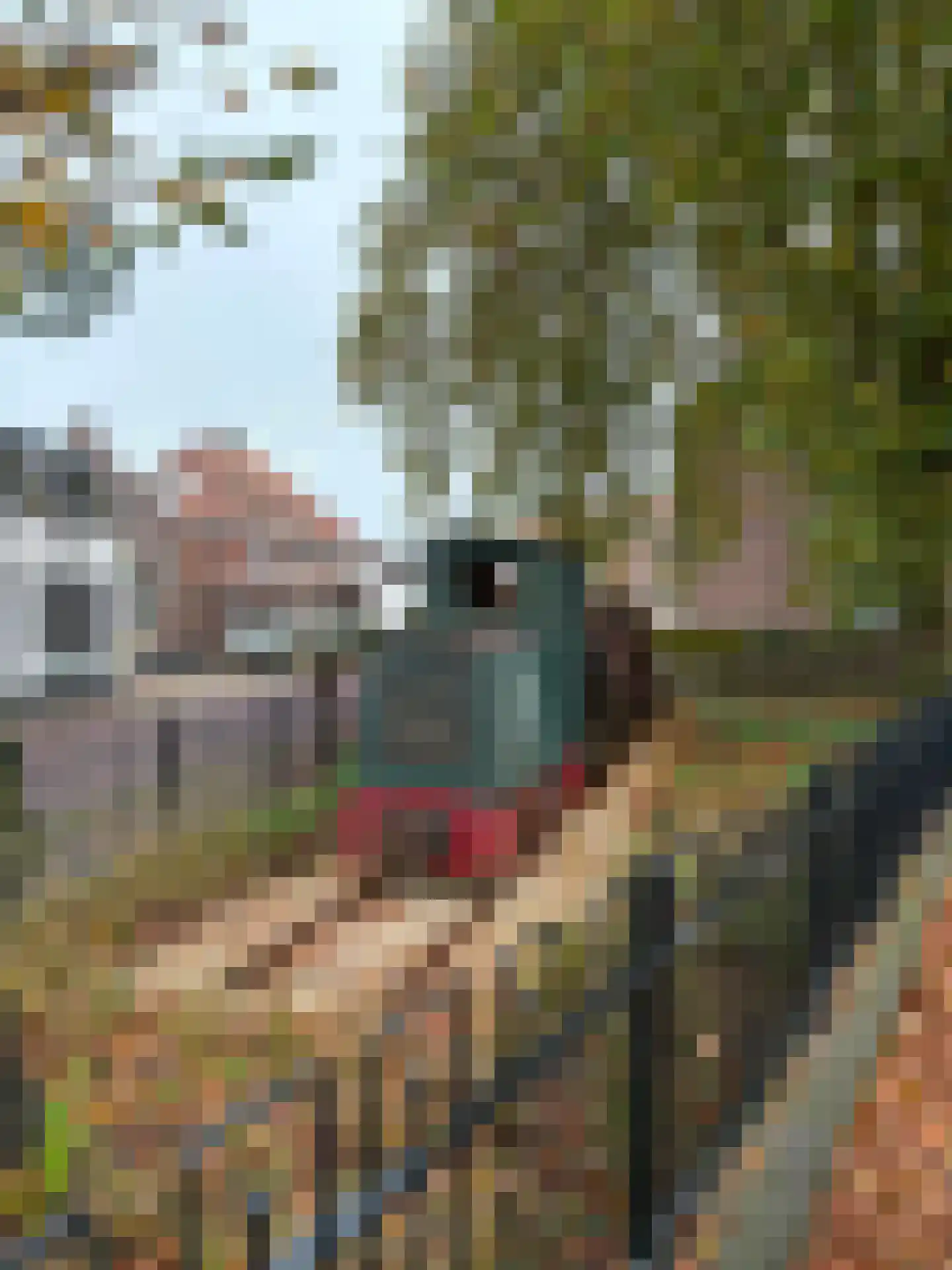 Kattenburg 31 Druten thumbnail 6