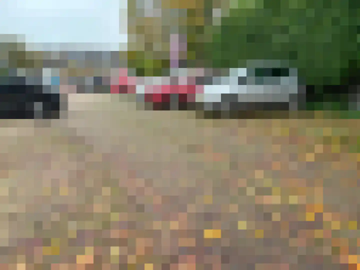 Kattenburg 31 Druten thumbnail 8