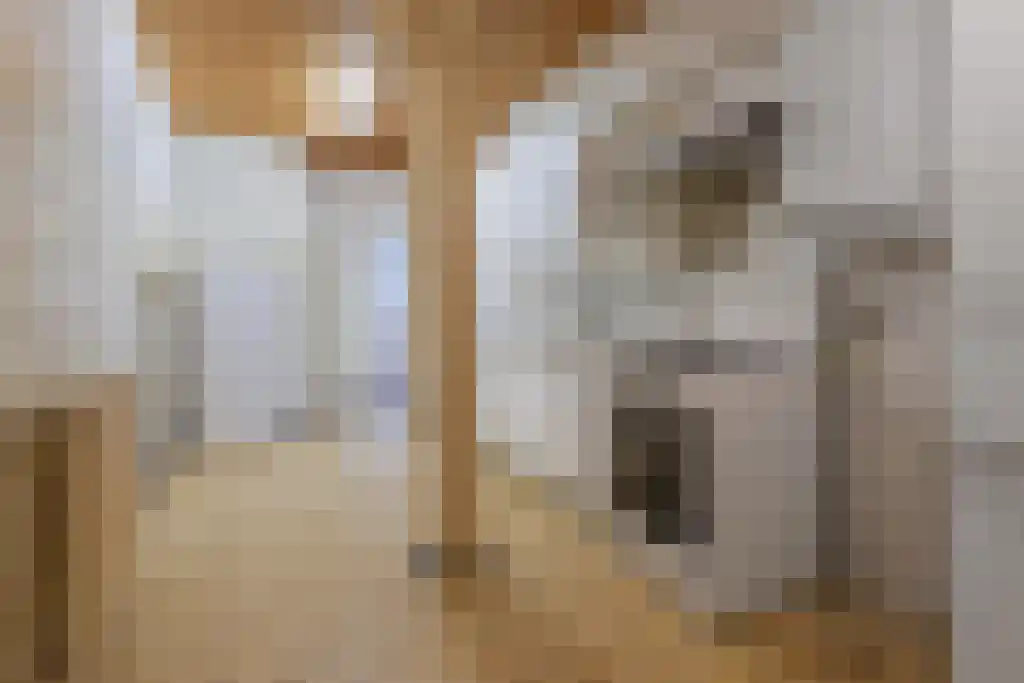 Kattenburg 44 A Druten thumbnail 14