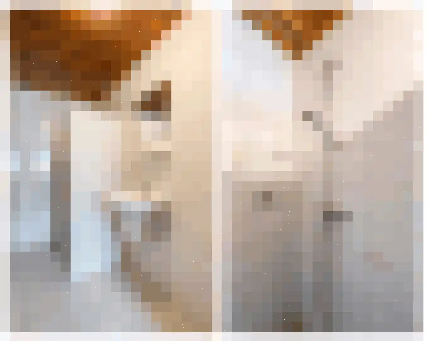 Kattenburg 44 A Druten thumbnail 22