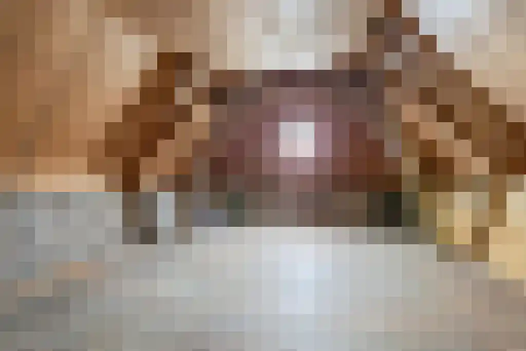 Kattenburg 44 A Druten thumbnail 33