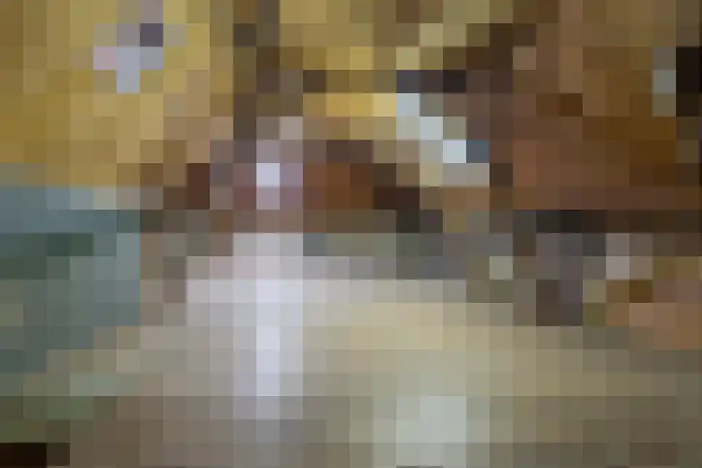 Kattenburg 44 A Druten thumbnail 34