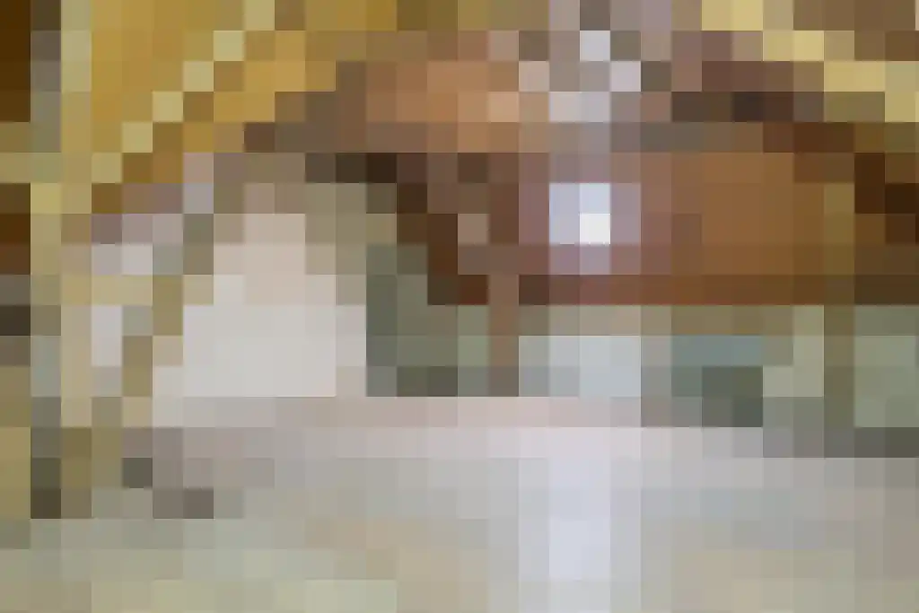 Kattenburg 44 A Druten thumbnail 35