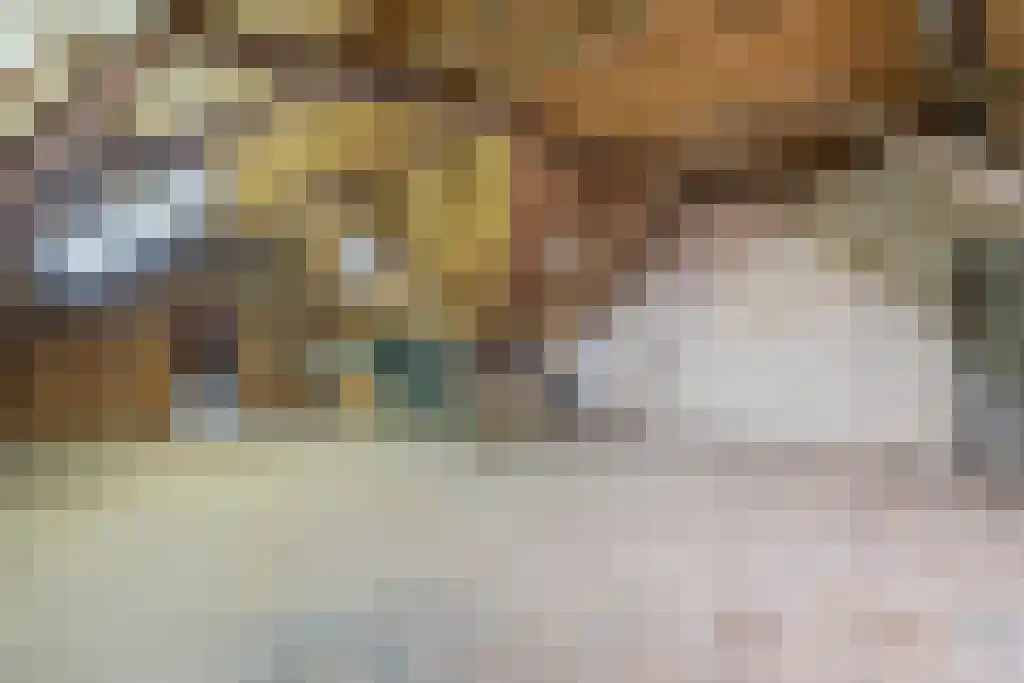 Kattenburg 44 A Druten thumbnail 36