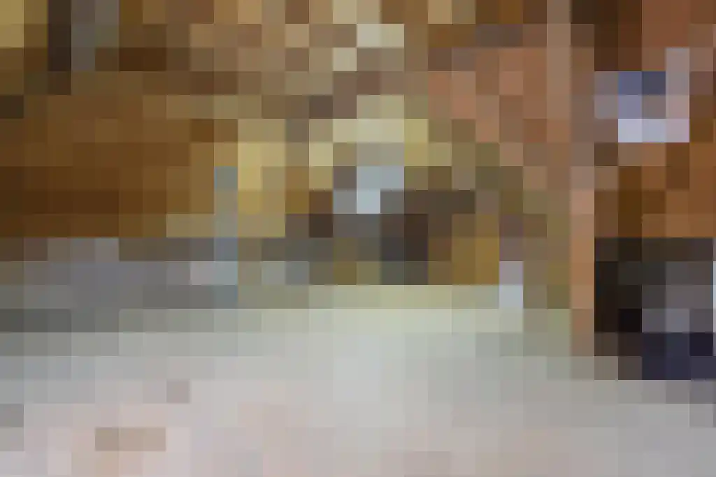 Kattenburg 44 A Druten thumbnail 37