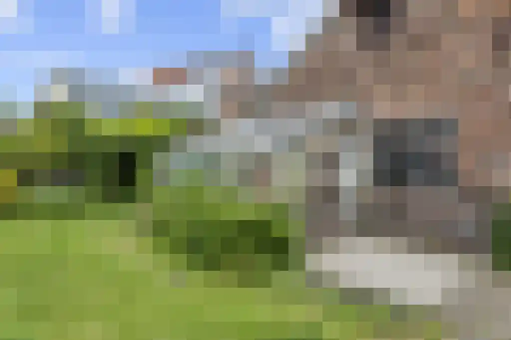 Kattenburg 44 A Druten thumbnail 42