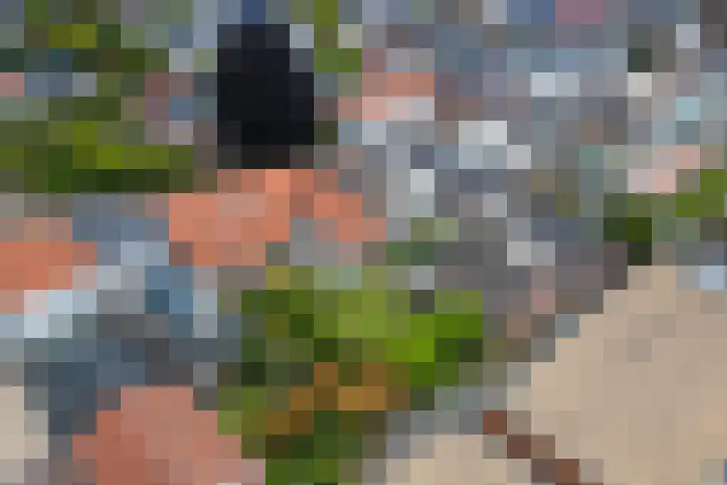Kattenburg 44 A Druten thumbnail 51