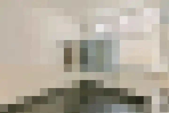 Kattenburg 58 Druten thumbnail 14