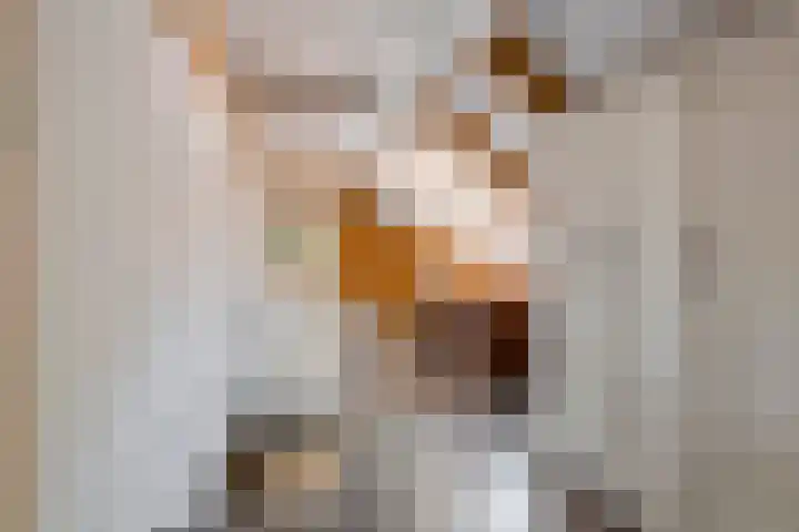 Kattenburg 58 Druten thumbnail 25