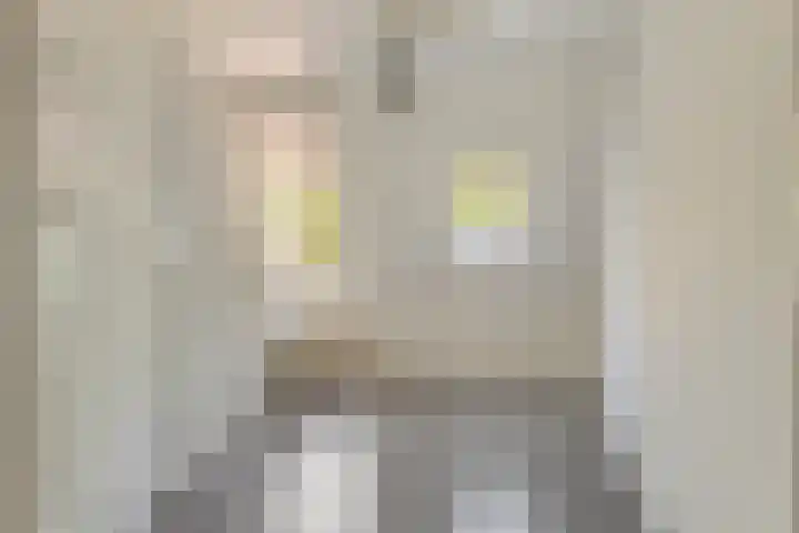 Kattenburg 58 Druten thumbnail 28