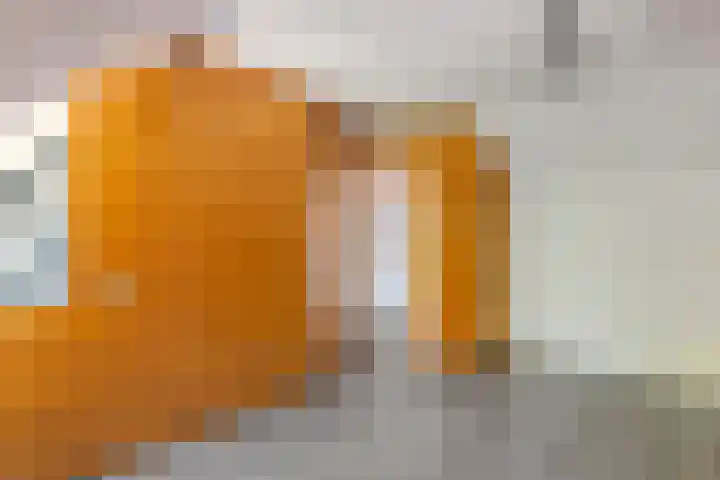 Kattenburg 58 Druten thumbnail 30