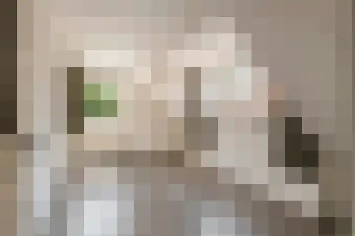 Kattenburg 58 Druten thumbnail 31