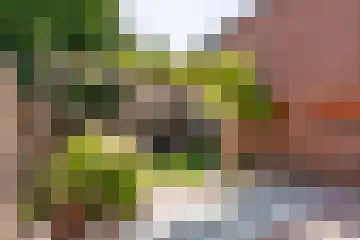 Kattenburg 58 Druten thumbnail 33