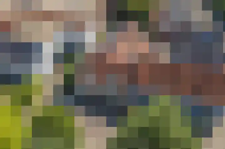 Kattenburg 58 Druten thumbnail 4