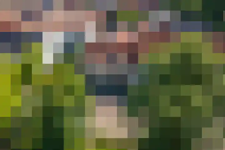 Kattenburg 58 Druten thumbnail 41