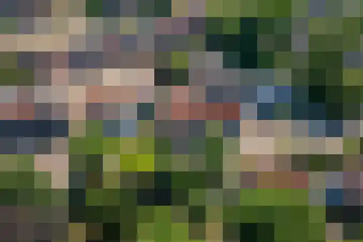 Kattenburg 58 Druten thumbnail 43