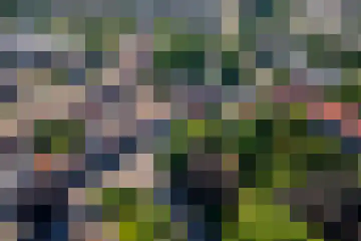 Kattenburg 58 Druten thumbnail 44