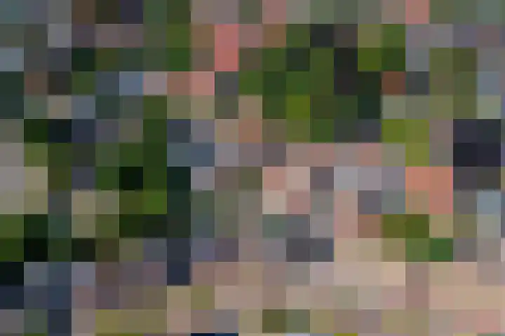 Kattenburg 58 Druten thumbnail 45