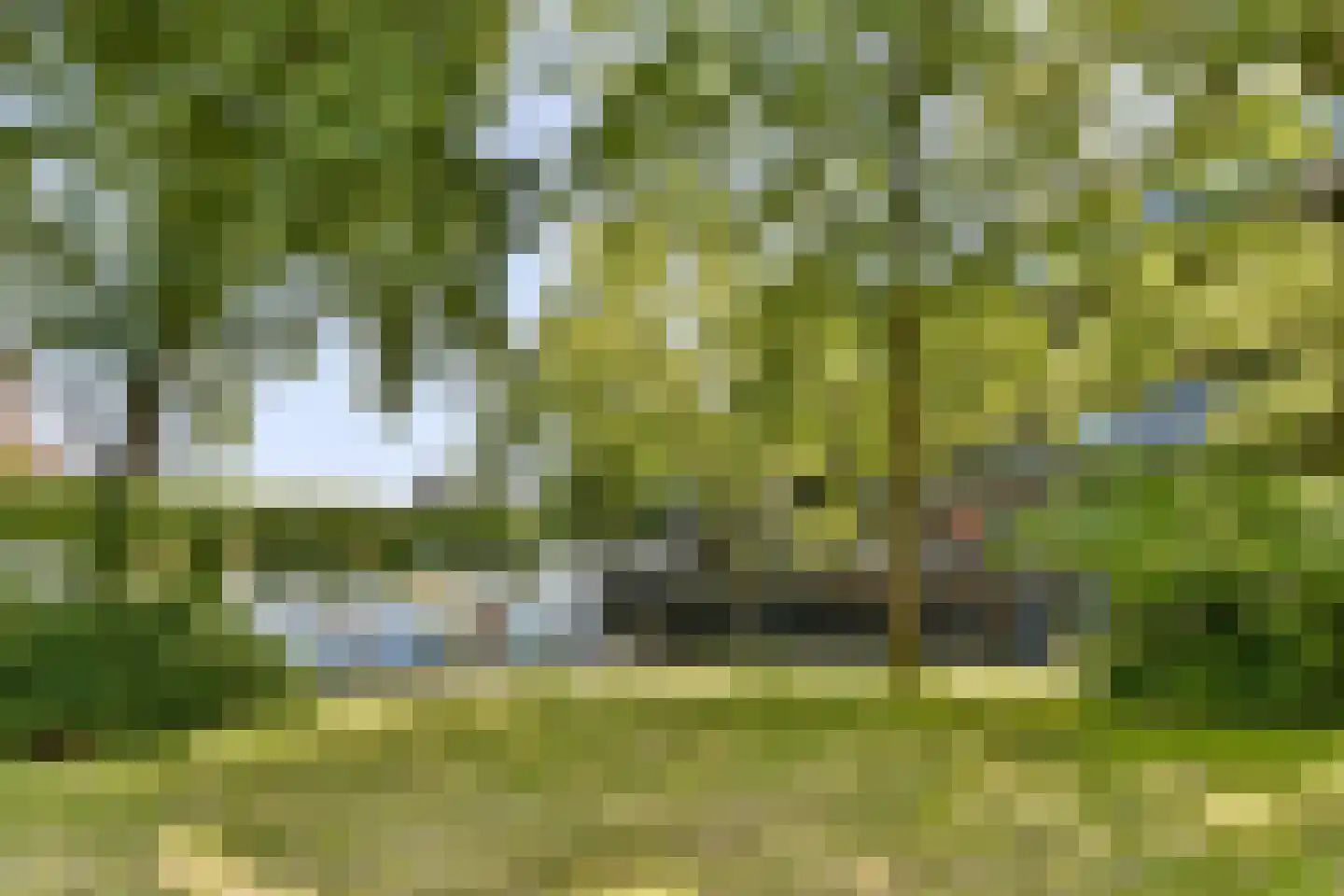 Kattenburgerhof 13 Amsterdam thumbnail 25