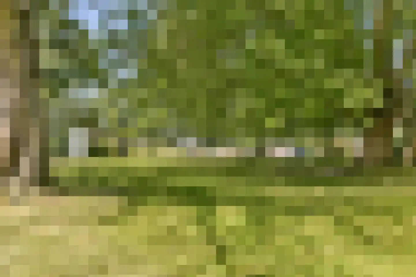Kattenburgerhof 13 Amsterdam thumbnail 26