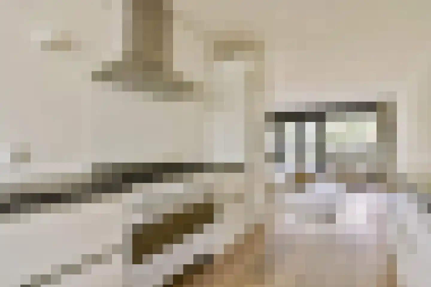 Kattenburgerhof 13 Amsterdam thumbnail 6