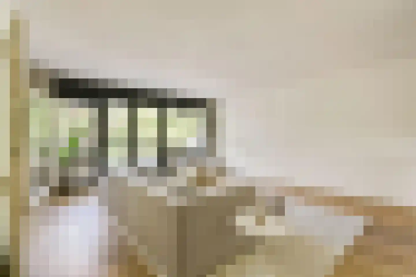 Kattenburgerhof 13 Amsterdam thumbnail 8